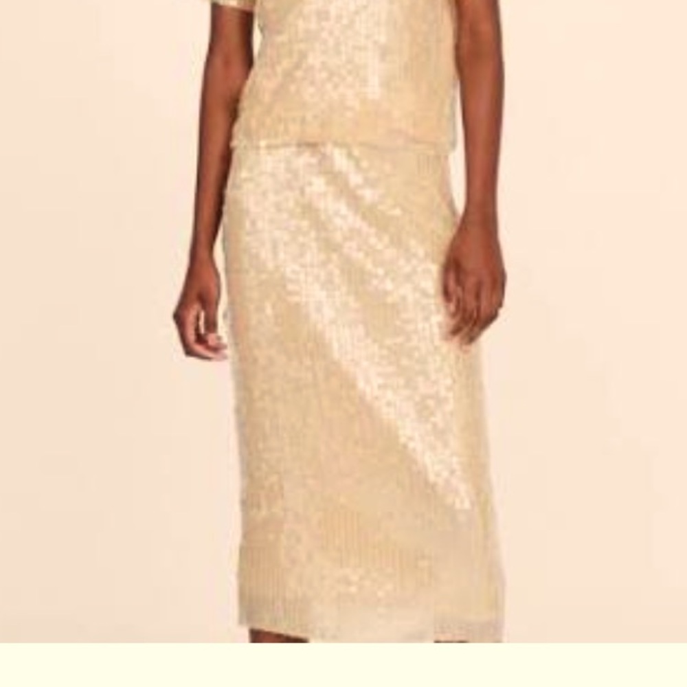 ZARA gorgeous gold sequined skirt!